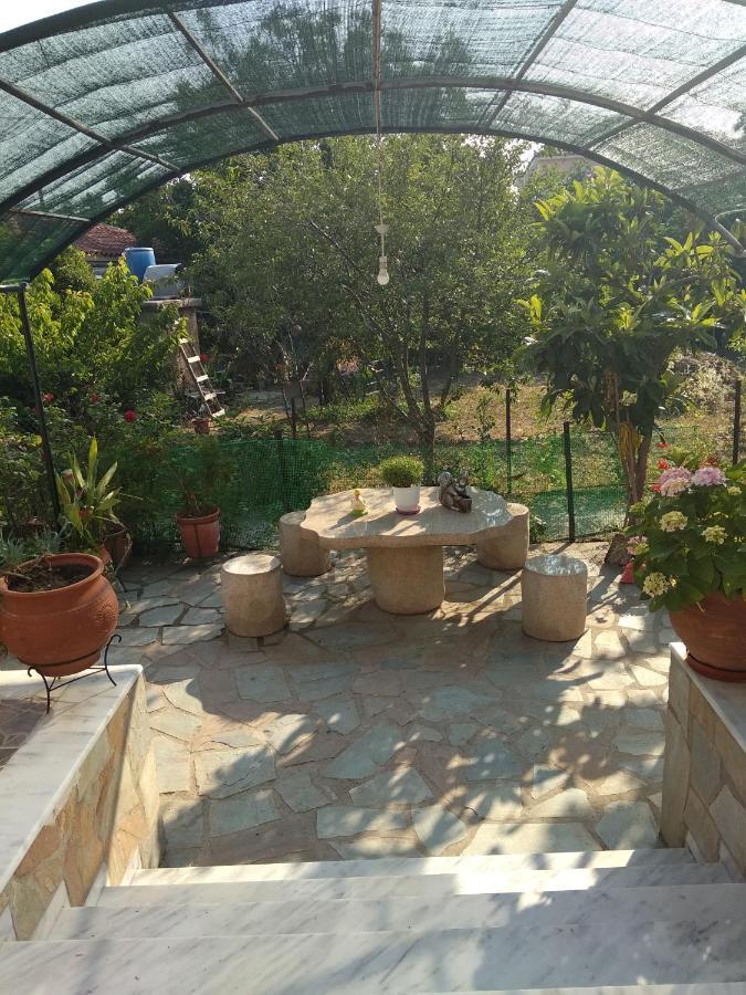 Summer Dream Appartement