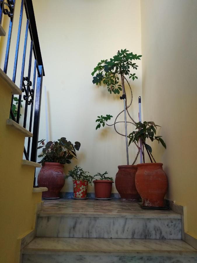Appartement Summer Dream *
