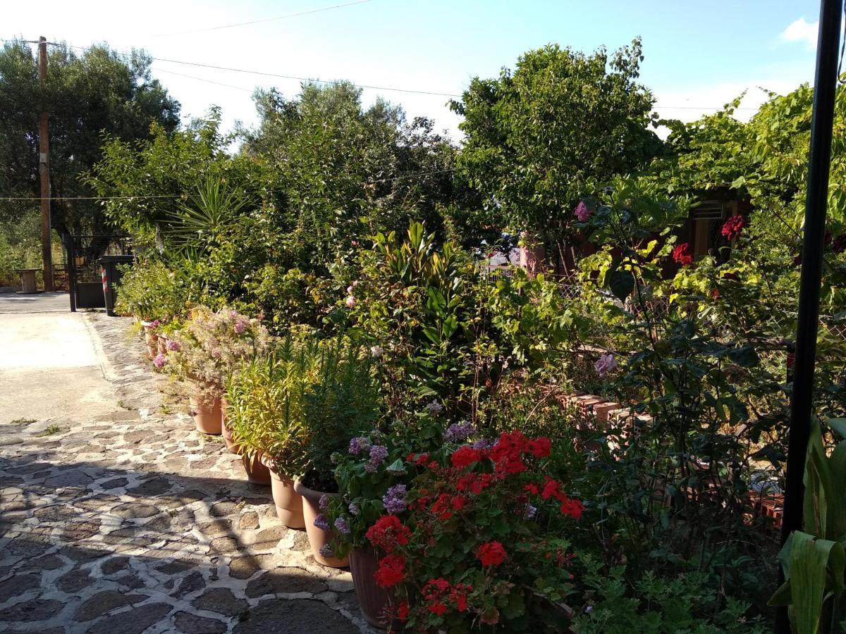 Appartement Summer Dream